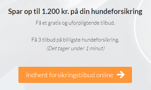 hundeforsikring