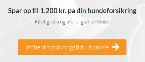 hundeforsikring