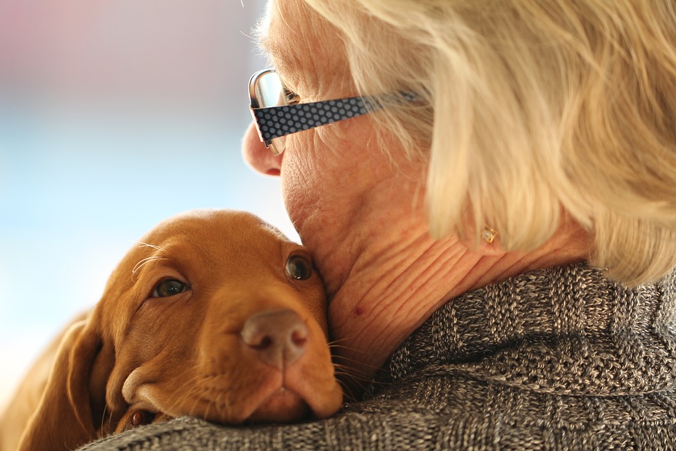 Ligner vinter Ruin Derfor er hunden menneskets bedste ven » Vovseforsikring