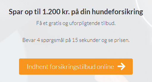 hundeforsikring